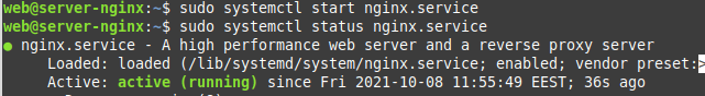 systemclt start nginx