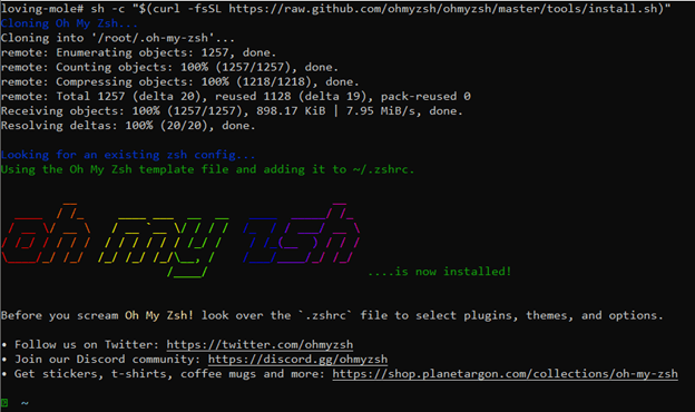 install Zsh