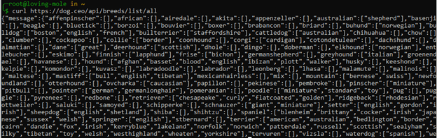 messy JSON dump