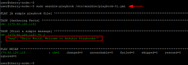 Run Ansible playbook