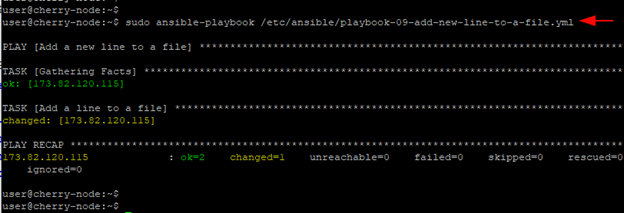 Run Ansible playbook