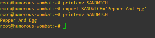 printenv VARIABLE