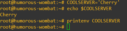 shell vs environment variable