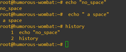 Commands with a space in front of them are not stored in bash history