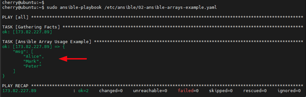 Print Ansible array to terminal