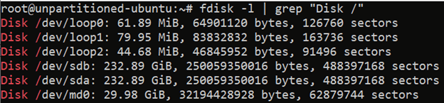 list Linux disk devices