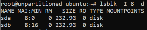 list specific disk devices