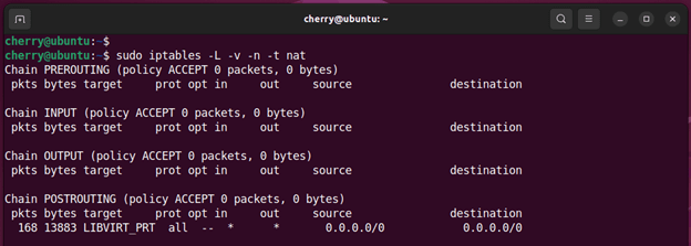 Check iptables rules for nat table