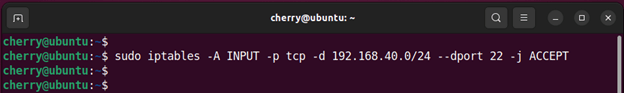 Iptables allow traffic from a subnet