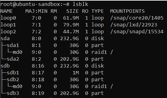 Check the list of block devices