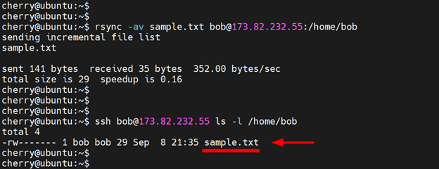 Confirm via SSH that file transfer is complete