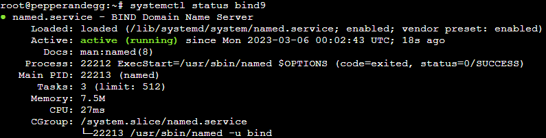 BIND 9 process active