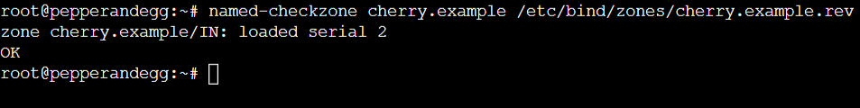 Check BIND forward zone configuration syntax