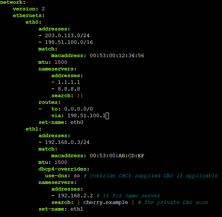 Configure Netplan with a private DNS server