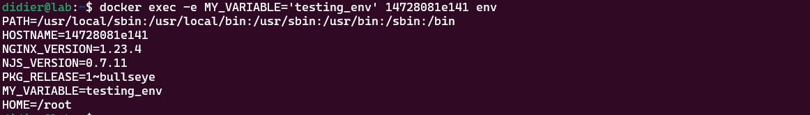 docker exec -e