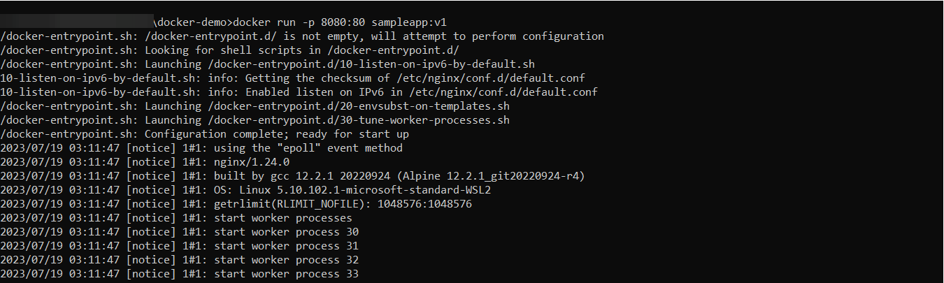 run docker image