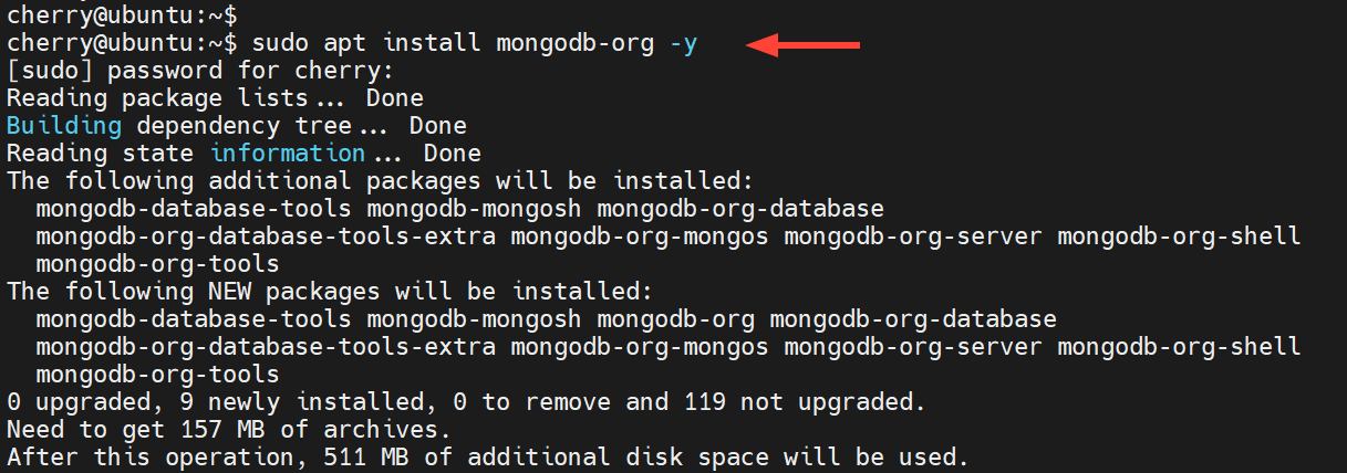 install mongodb