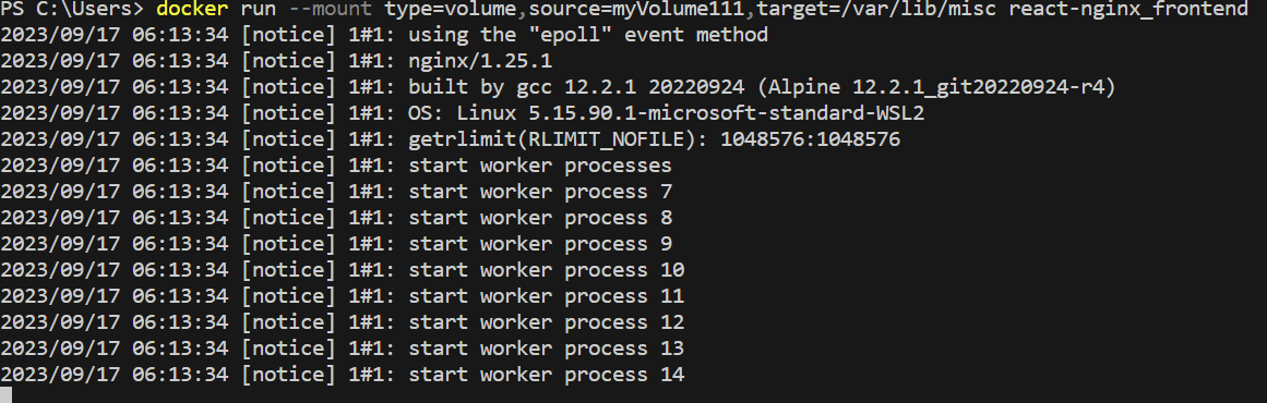 using  --mount command