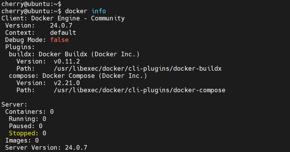 docker-info-command