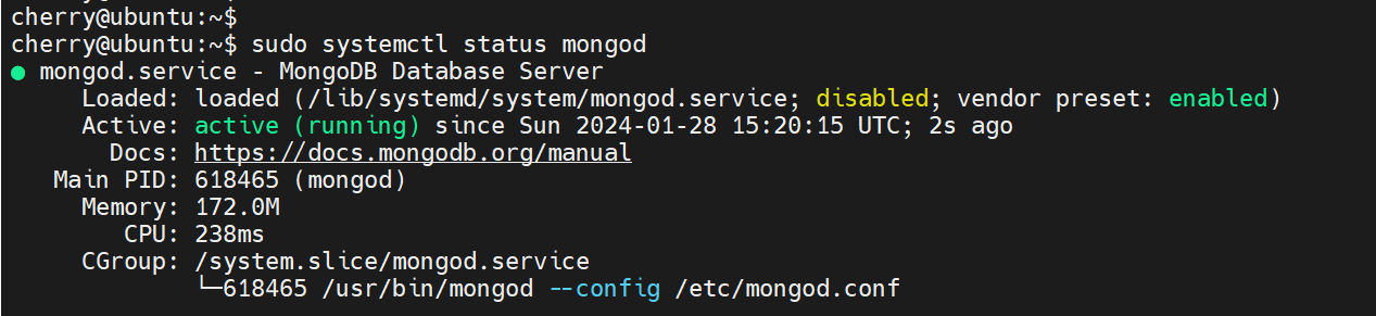 check-mongodb-status-ubuntu