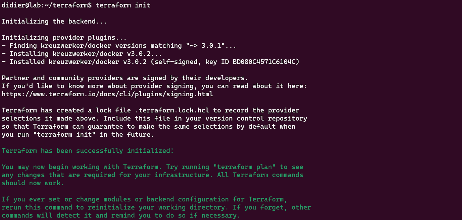 terraform init