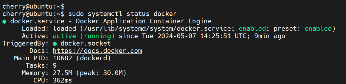 check-docker-status-ubuntu-24.04