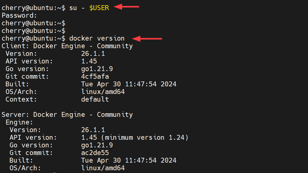 check-docker-version