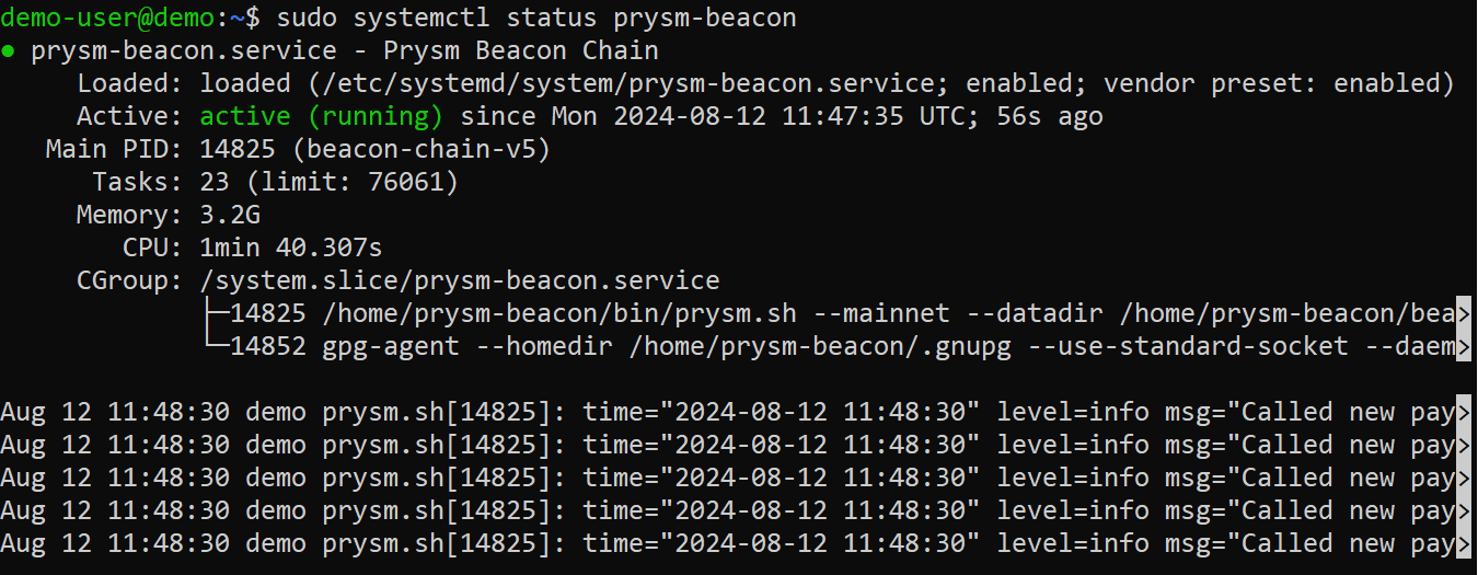 Check Prysm beacon service status