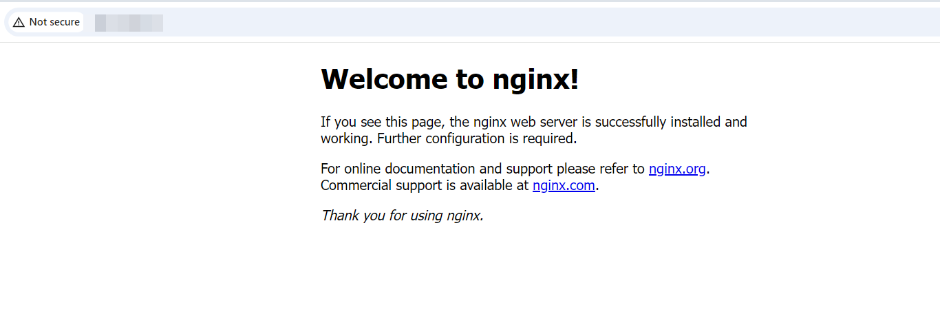 check-nginx-welcome-page