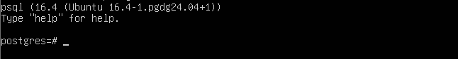  PostgreSQL 16 interactive shell