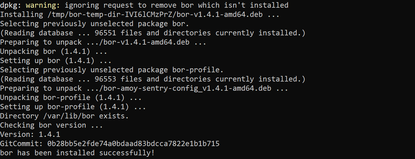 Install Bor