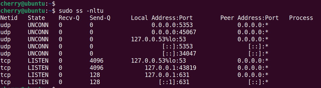 ss-command-check-open-ports