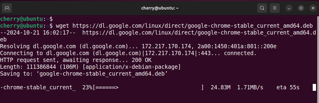 download-google-chrome-installation-file-command-line