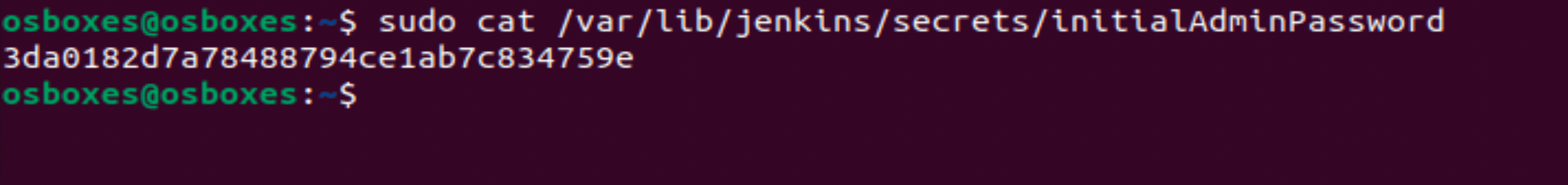 Jenkins initial admin password